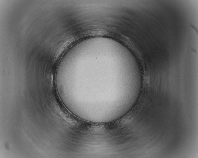 X0000103440110200809261803