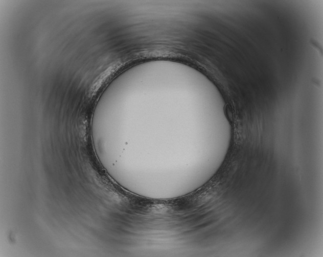 X0000103440111200809261803