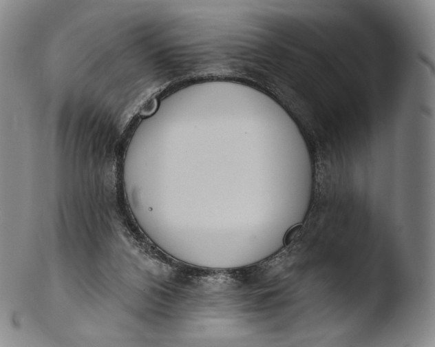 X0000103440112200809261803
