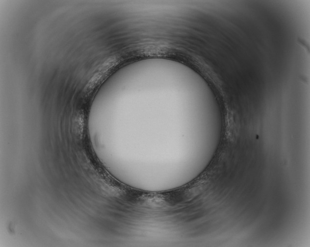 X0000103440113200809261803
