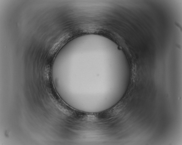 X0000103440114200809261803