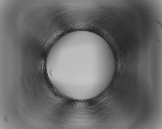 X0000103440115200809261803