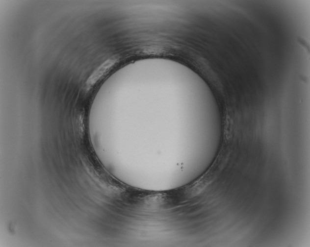 X0000103440116200809261803