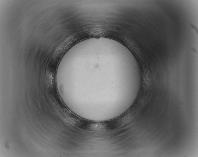 X0000103440117200809261803