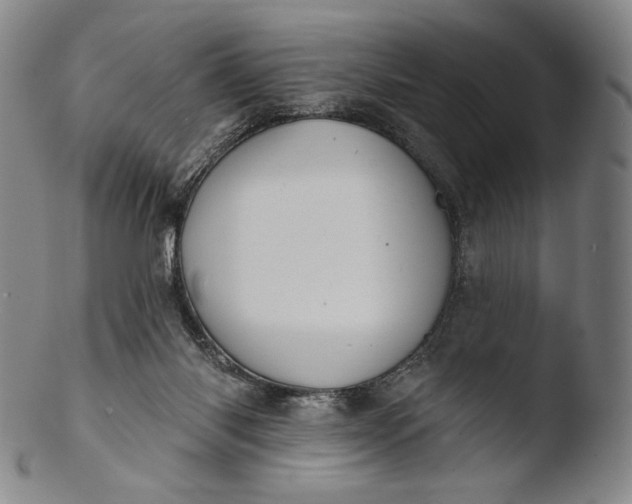 X0000103440118200809261803