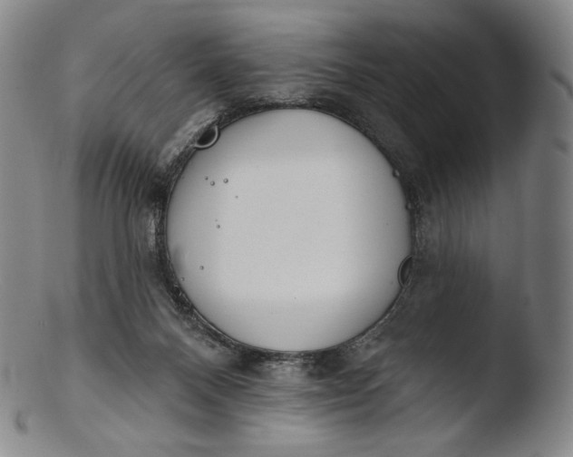 X0000103440120200809261803