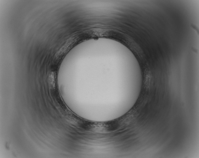 X0000103440121200809261803