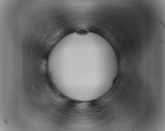 X0000103440122200809261803