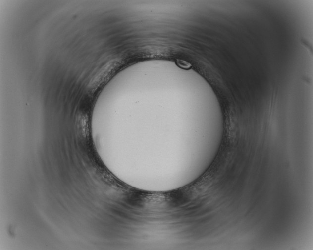 X0000103440123200809261803