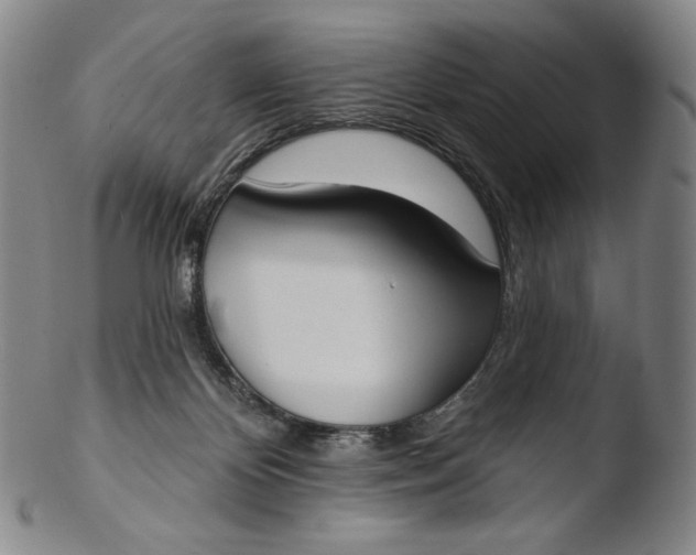 X0000103440124200809261803
