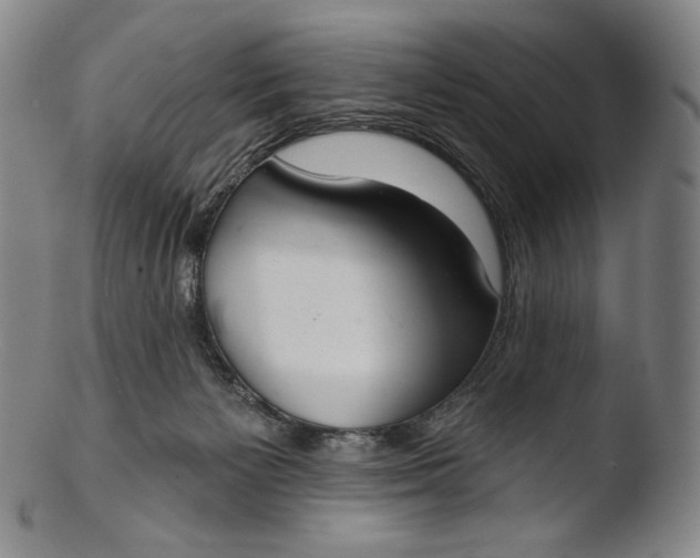 X0000103440125200809261803