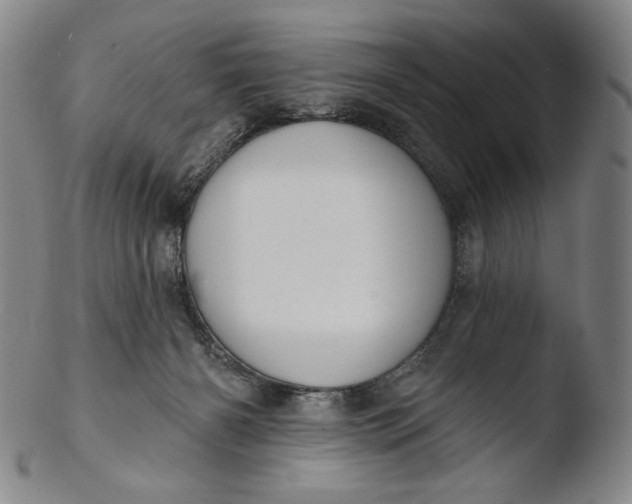 X0000103440126200809261803