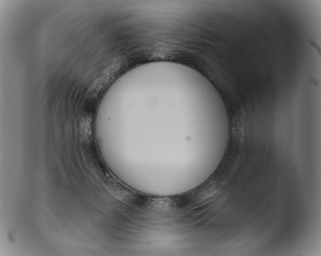 X0000103440127200809261803