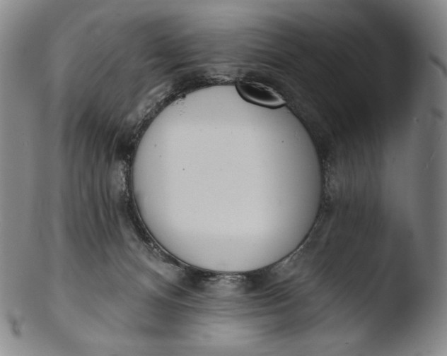X0000103440128200809261802