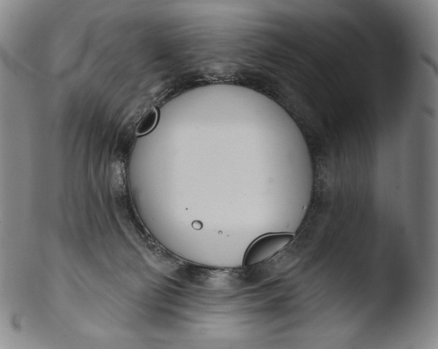 X0000103440130200809261802