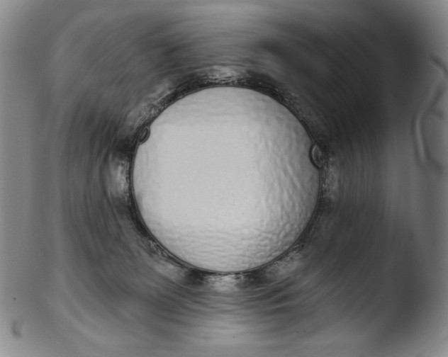 X0000103440131200809261802