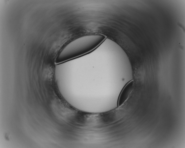 X0000103440132200809261802