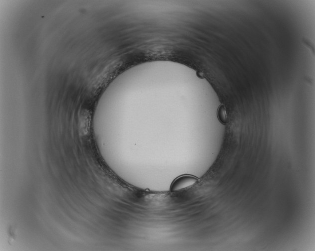 X0000103440133200809261802