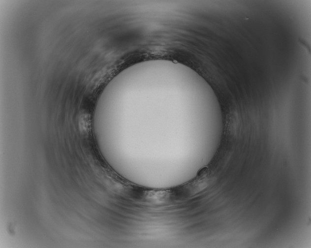 X0000103440135200809261802