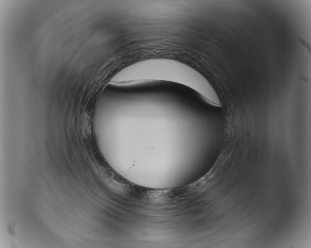 X0000103440136200809261802