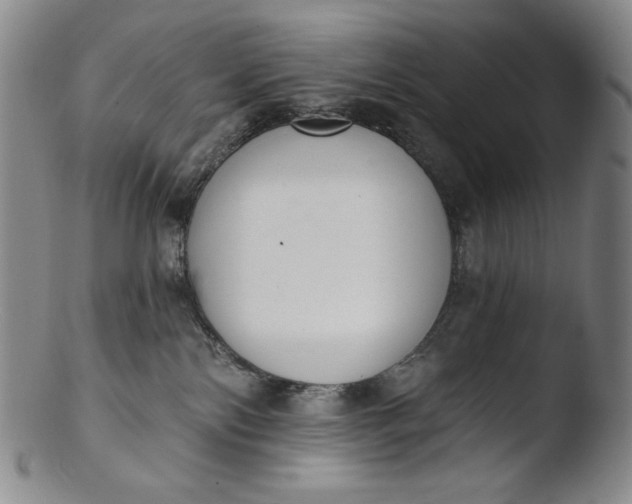 X0000103440138200809261802