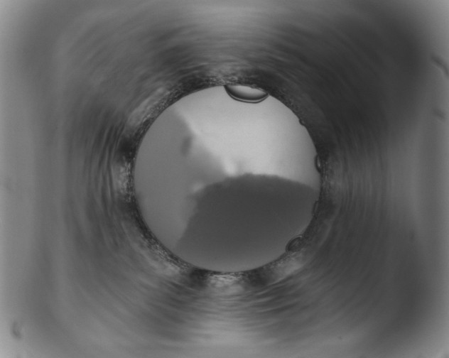 X0000103440139200809261802