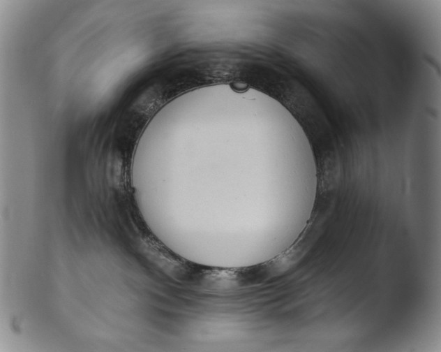 X0000103440140200809261802