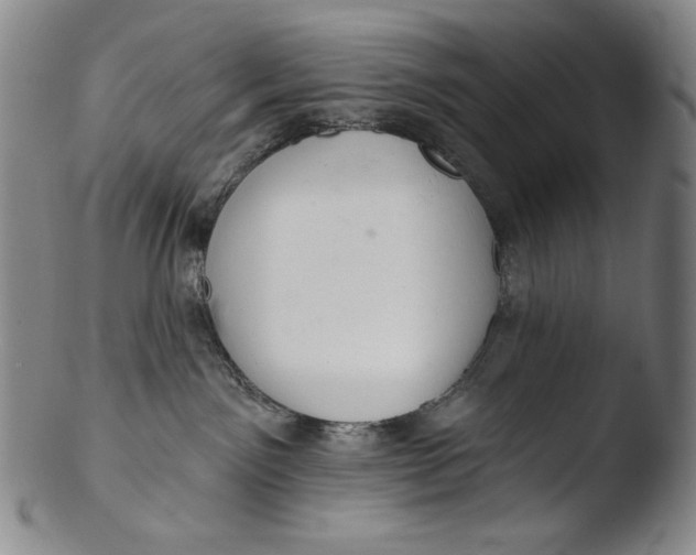 X0000103440141200809261802