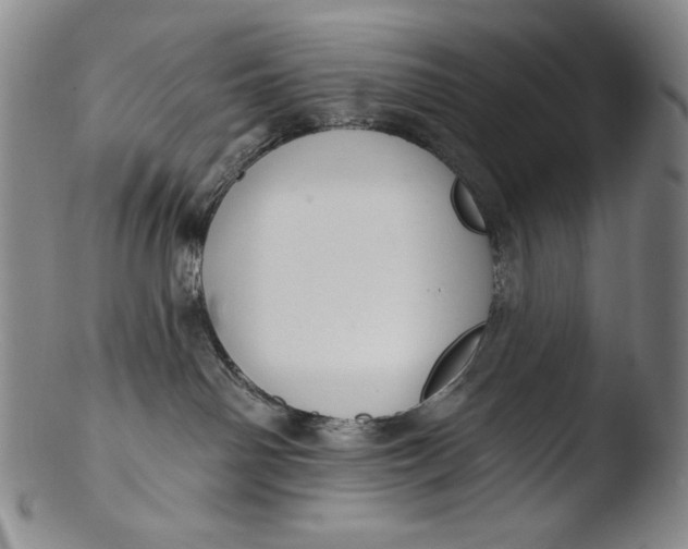 X0000103440142200809261802