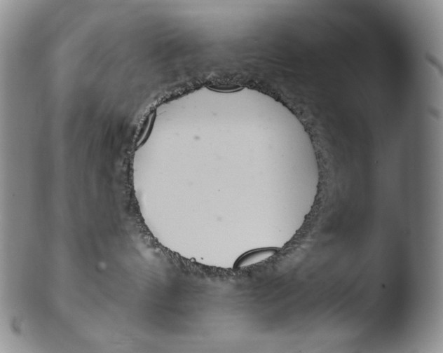 X0000103440144200809261802