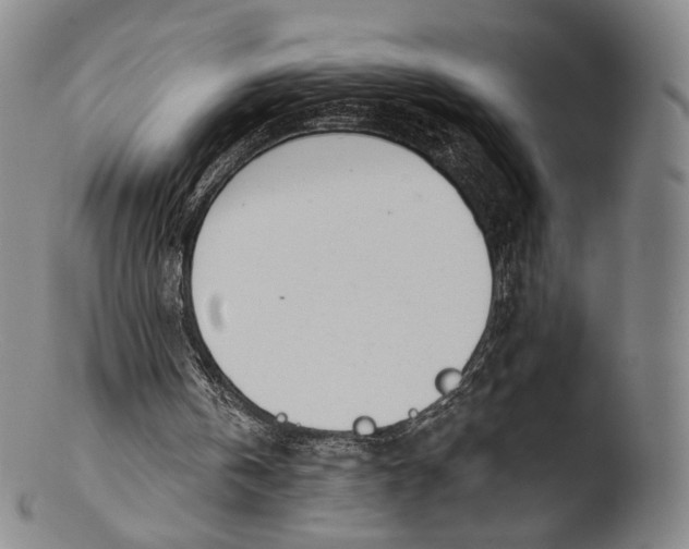 X0000103440146200809261802