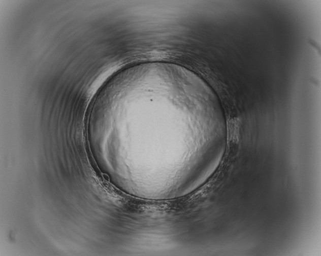 X0000103440147200809261802