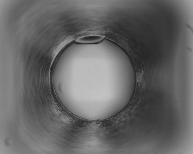 X0000103440148200809261802