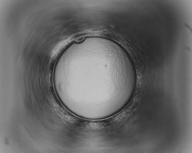 X0000103440149200809261802