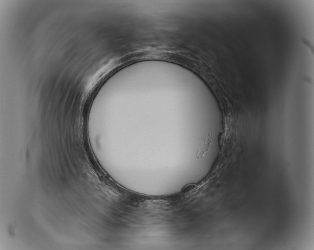 X0000103440150200809261802
