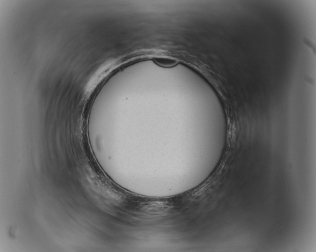 X0000103440151200809261802