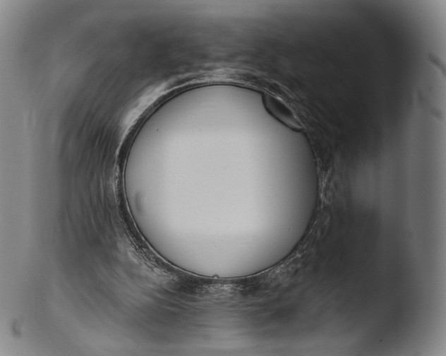 X0000103440152200809261802