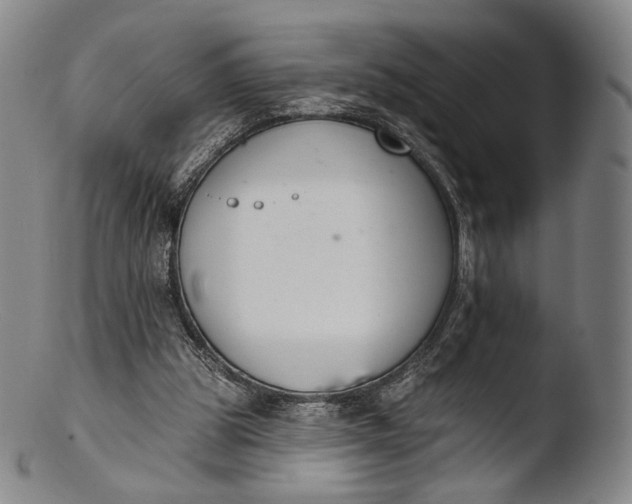 X0000103440153200809261802