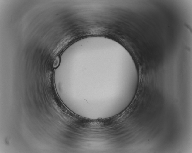 X0000103440154200809261802