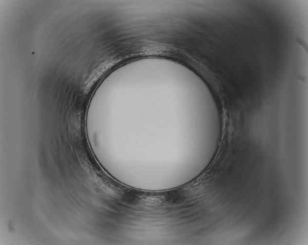 X0000103440155200809261802