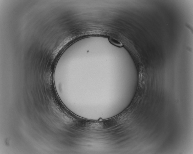 X0000103440156200809261802