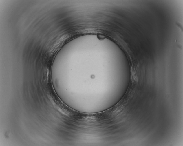 X0000103440157200809261802