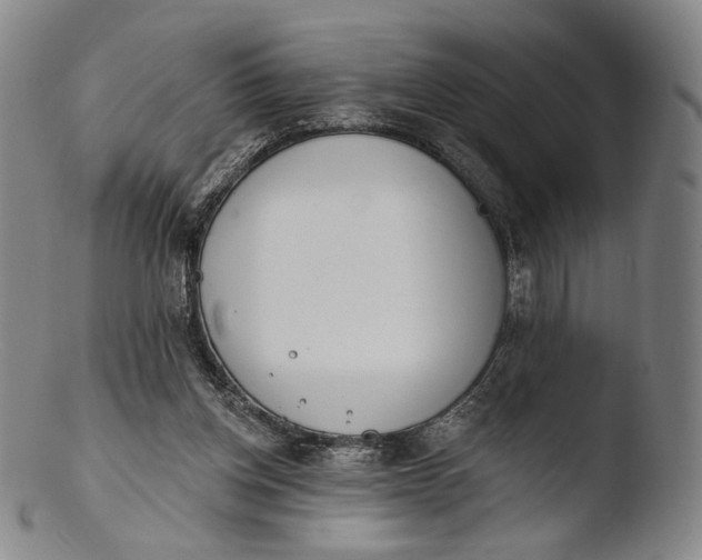 X0000103440158200809261802