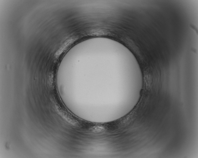 X0000103440159200809261802