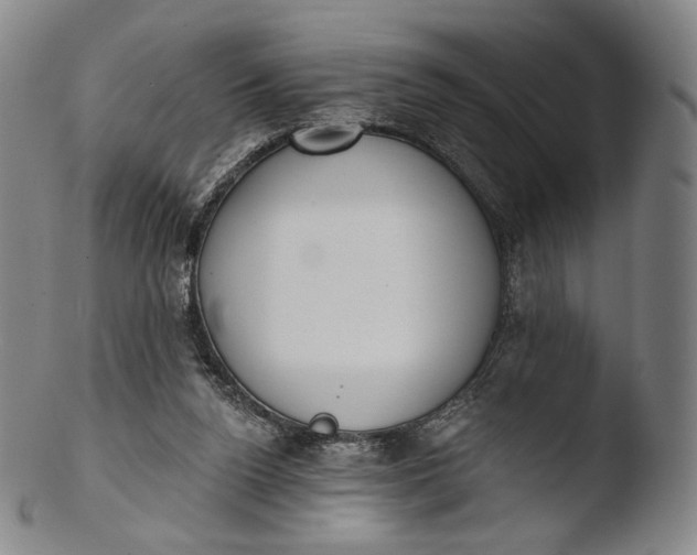 X0000103440160200809261802