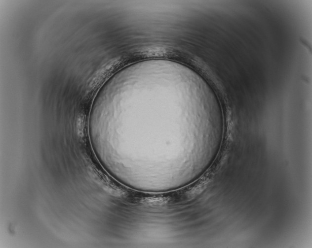 X0000103440161200809261802