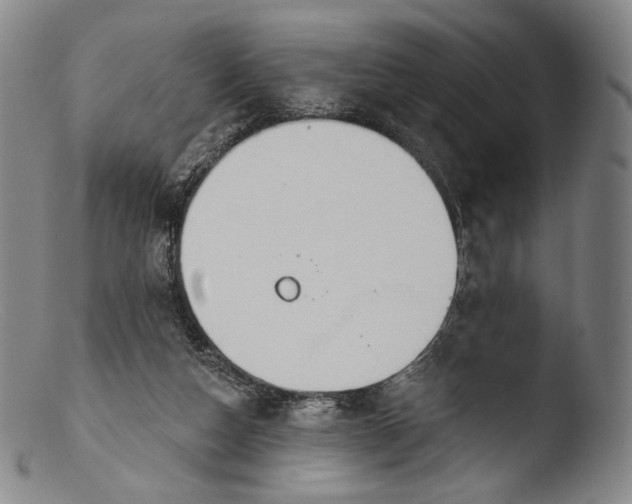 X0000103440162200809261802