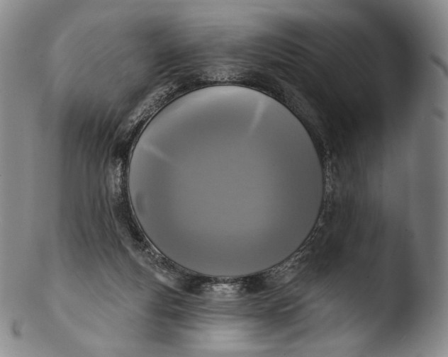 X0000103440163200809261802
