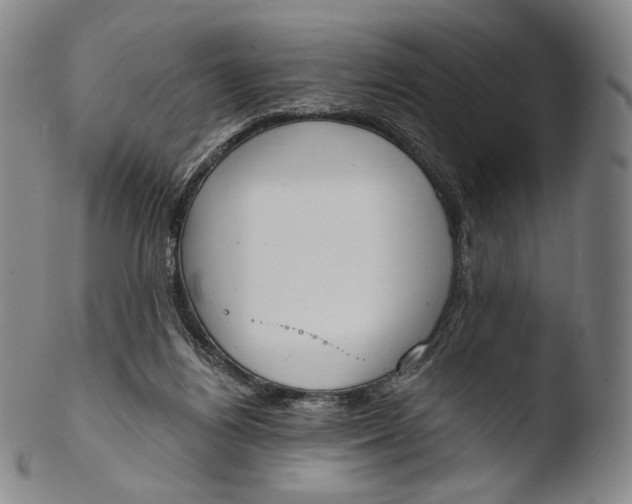 X0000103440164200809261802