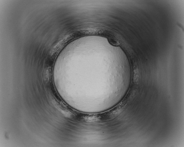 X0000103440165200809261802